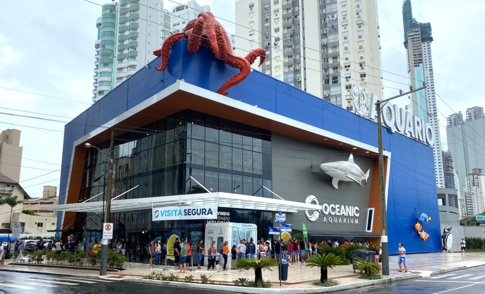 Oceanic Aquarium Balneário Camboriú: vale a visita? - Passaporte Digital