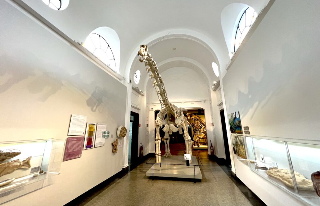 museu de zoologia